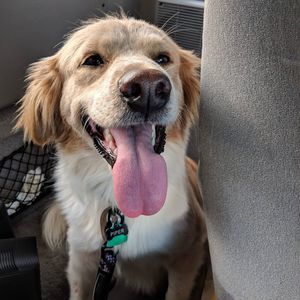 Meet your Posher, Matt